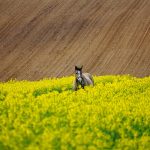 Aktualne optymalizacja treści w realnościach przeobrażeń dotykających w algorytmach Google i kanałach społecznościowych